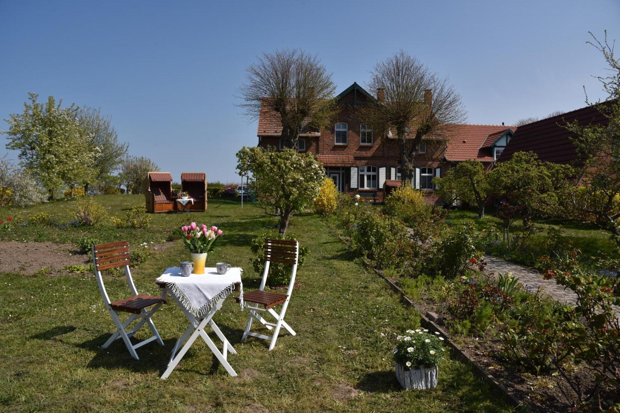 Hotel/Pension Bradhering Ahrenshoop Kültér fotó